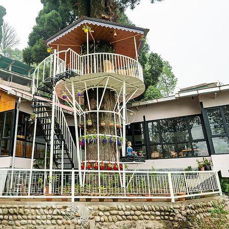 Arcadia Heritage Resort Darjeeling  Exteriör bild