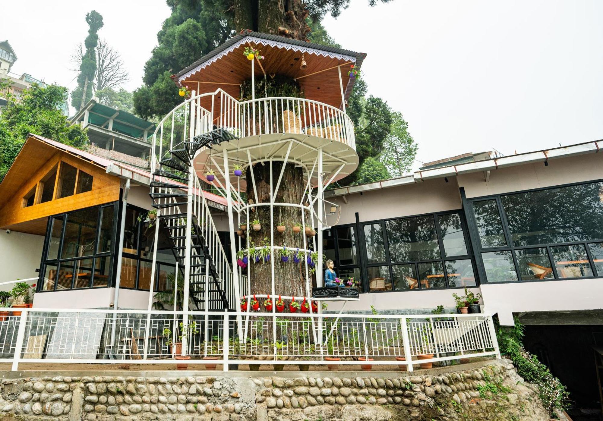 Arcadia Heritage Resort Darjeeling  Exteriör bild